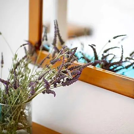 Hotel Antonina Agia Anna (Naxos)